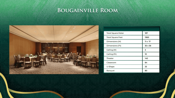 Bouganvile