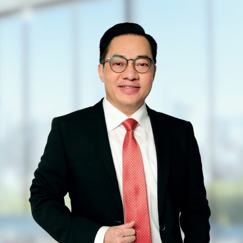 15. Ian Ferdinan N Vice Chairman for Information Technology, Technology Implementation and Digital Finance Affairs